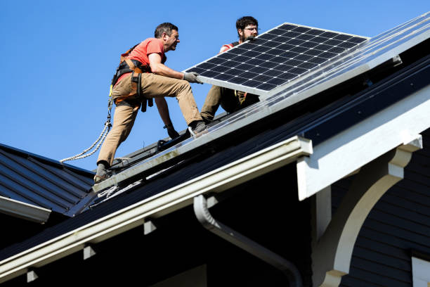 Best Roof Moss and Algae Removal  in Passaic, NJ